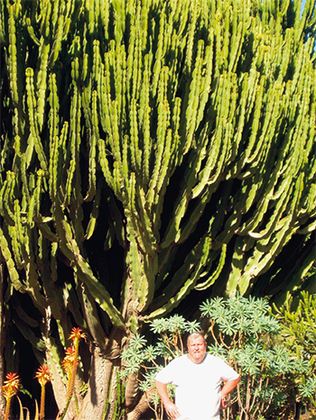 Kaktus Jardin Botanico Las Palmas